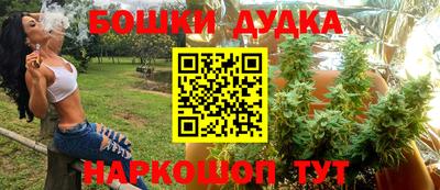 PSILOCYBIN Бугуруслан