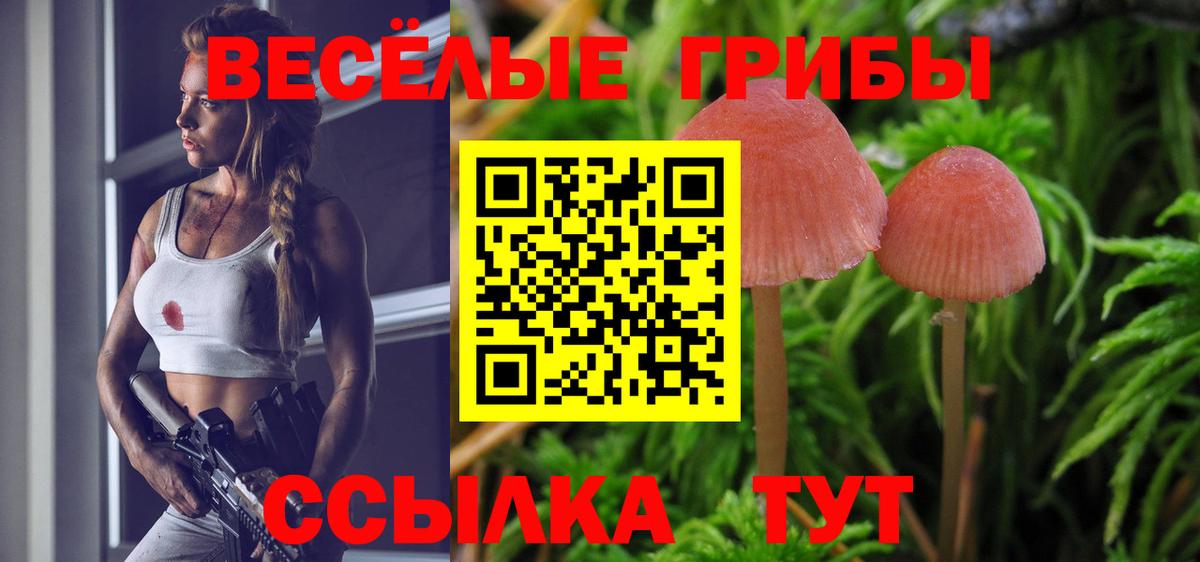 Псилоцибиновые грибы ЛСД Новошахтинск